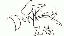 Donkey