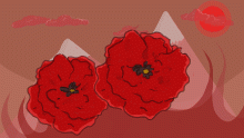 Poppies