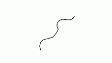 MY PET