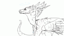 hi its my dragonsona