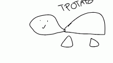 I like turtles