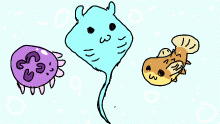 more kawai