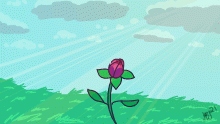 Bloom
