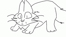 kitten