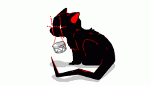@drumcat