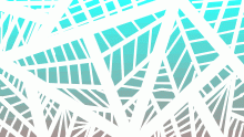 Fracture