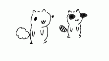 derpy squirral and racoon