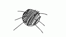 Avatar for spider