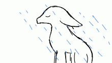 rain