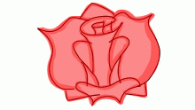 rose