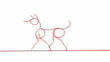 walk cycle