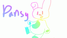 pansy in RAINBOW