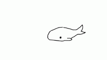 whale
