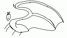 dragon wing