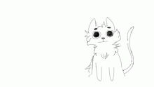 Fluff