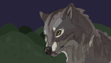 random wolf