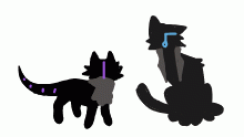 yo u got some weird cats bro