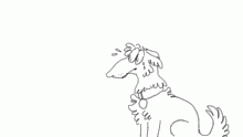 sneef