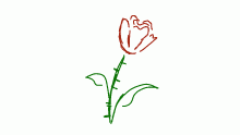rose