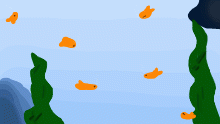 Under the sea