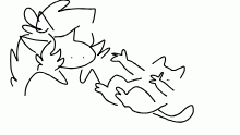 Me:calls cat gay
