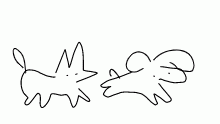 cat chasees dog lololololololol XD