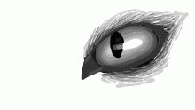cawt eye