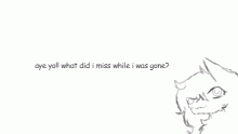 what did i miss?
