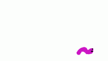 worm