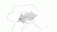 woman hehe