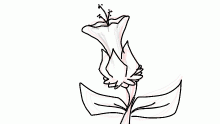 flower?