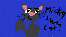 mickey the cat