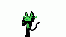 cat qijy