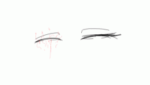 Harley eyes