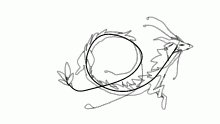challenge thing