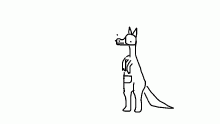 roo