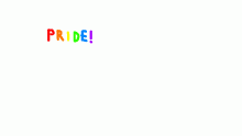 PRIDE!!!