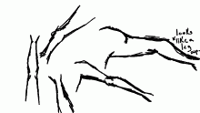 like,,,,,,,,,,arms,,,,,,,,,,