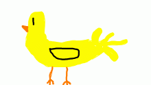 duck