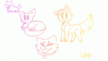 just some random cats ig