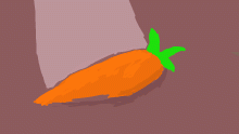 a carrot
