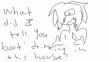 WE DON'T DRINK IN THIS HOUSE!