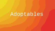 adoptables pfp