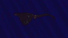 galaxy ray