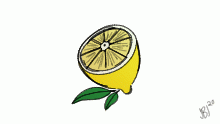 "Fresh" @XEclipse