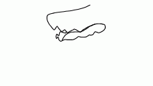 licc