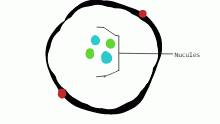 nucules