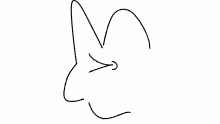 The rat