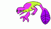 fat