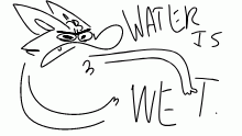 water is wet